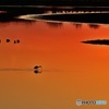 沼の夕景