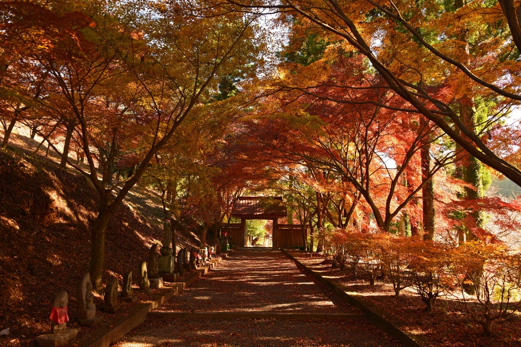 紅葉参道