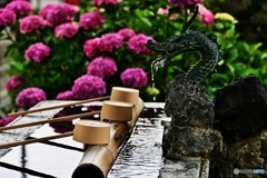 手水と紫陽花