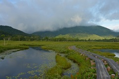 尾瀬ヶ原の朝