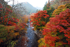 渓谷の秋