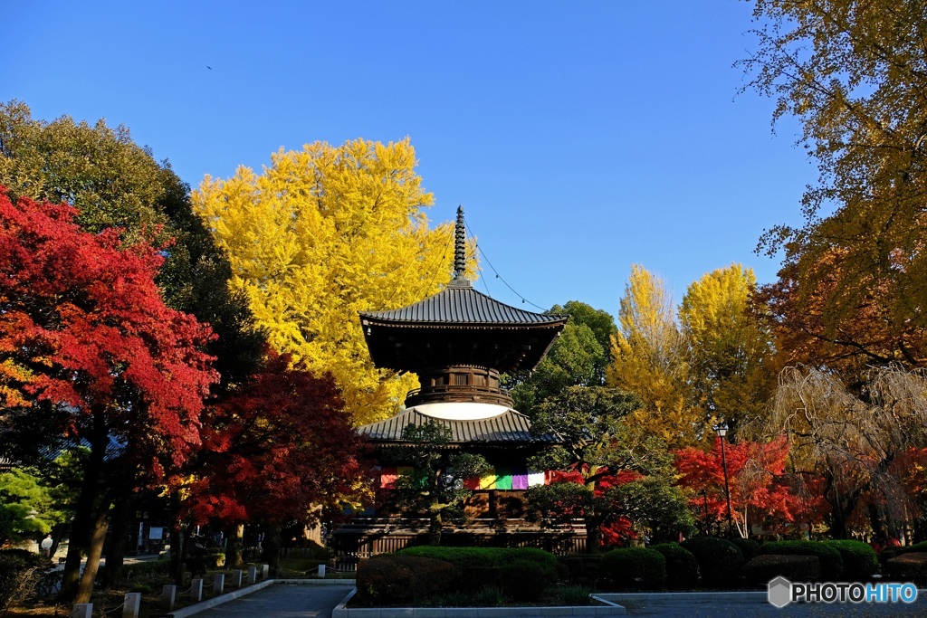 紅葉の多宝塔