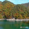 彩りの川俣湖