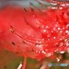 水滴キラキラ