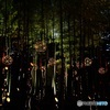 竹林ライトアップ