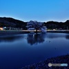 夜桜