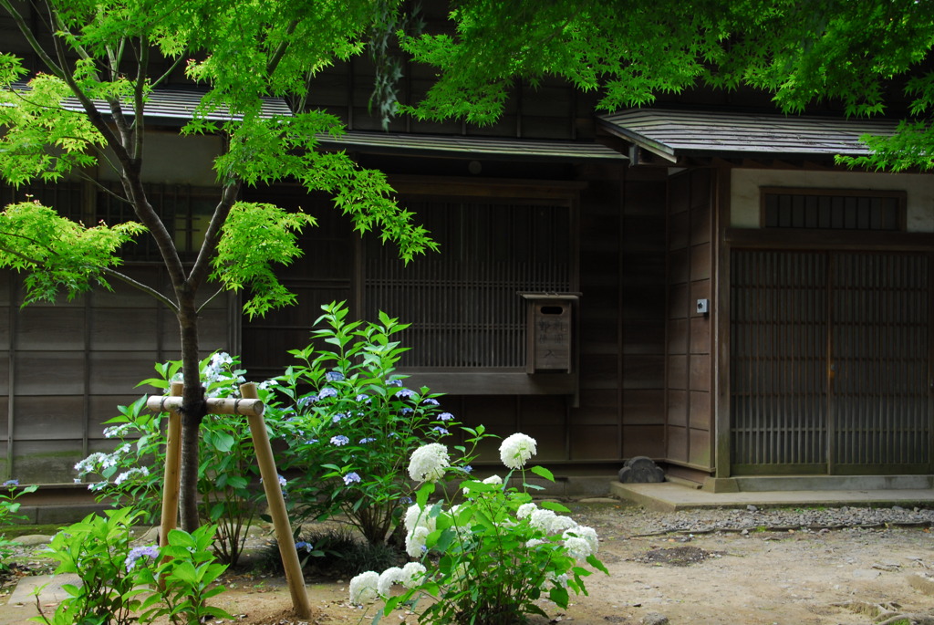 季節のある玄関