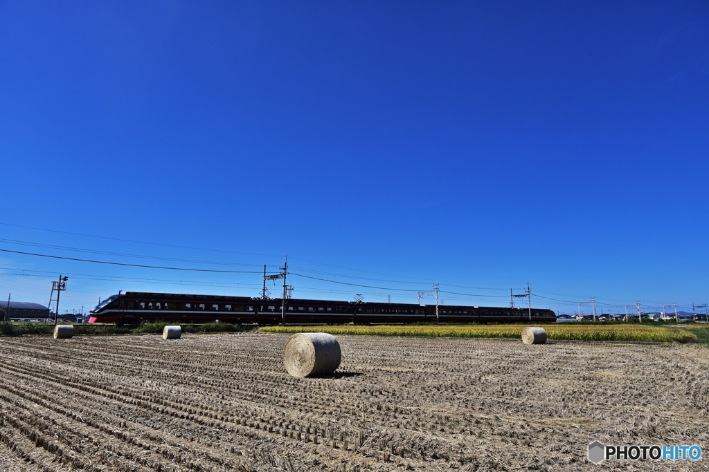 特急りょうもう号MLBラッピング
