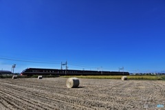 特急りょうもう号MLBラッピング