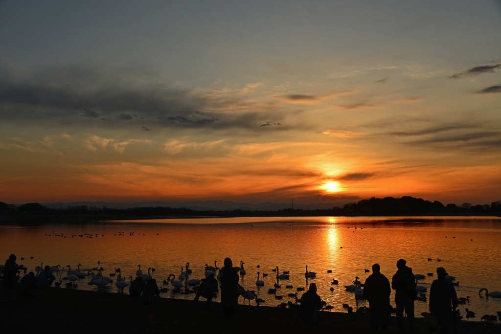 多々良沼の夕景