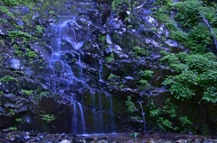 繊細に