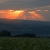 蕎麦畑の光芒