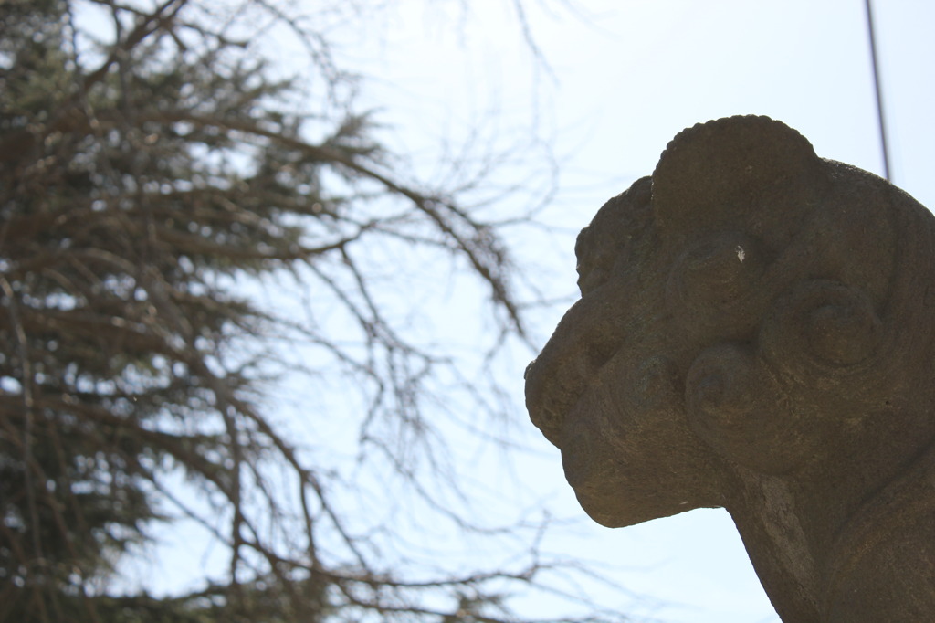 香取神社の狛犬