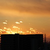 夕焼け鉄塔101229