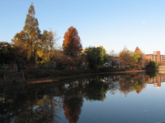 中尾池の秋 