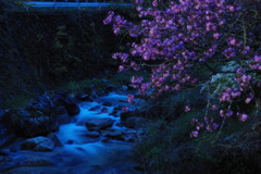 川　夜景