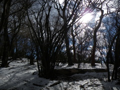冬山
