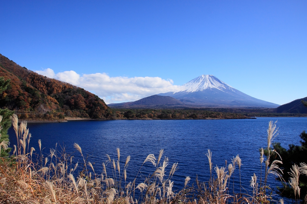 富士山