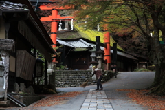 朝の風景