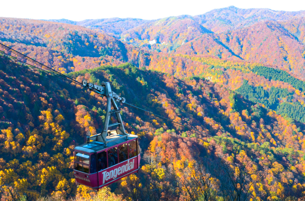 天元台紅葉