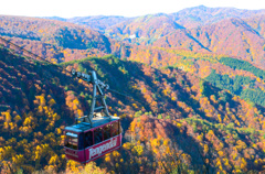 天元台紅葉