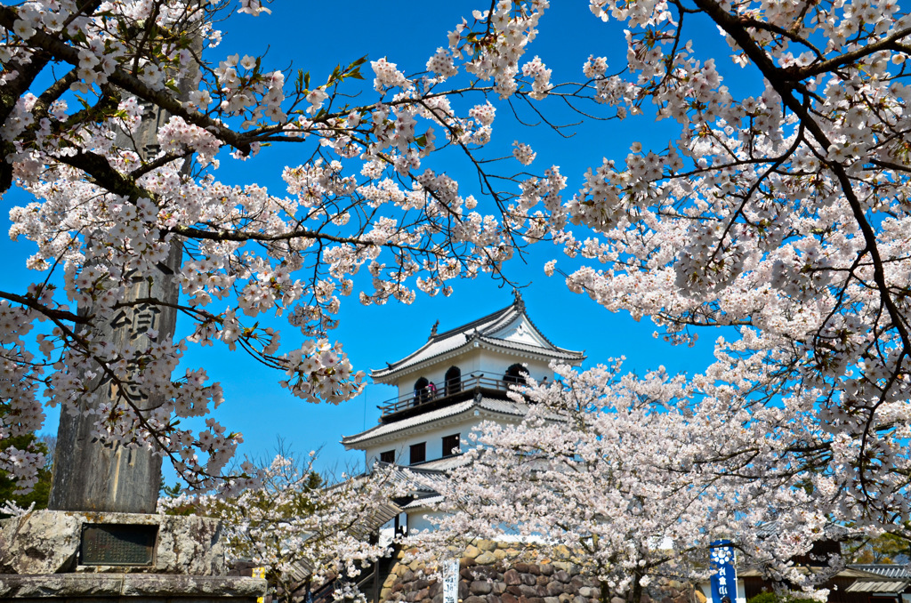 白石城2015③