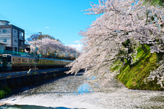 霞城公園④