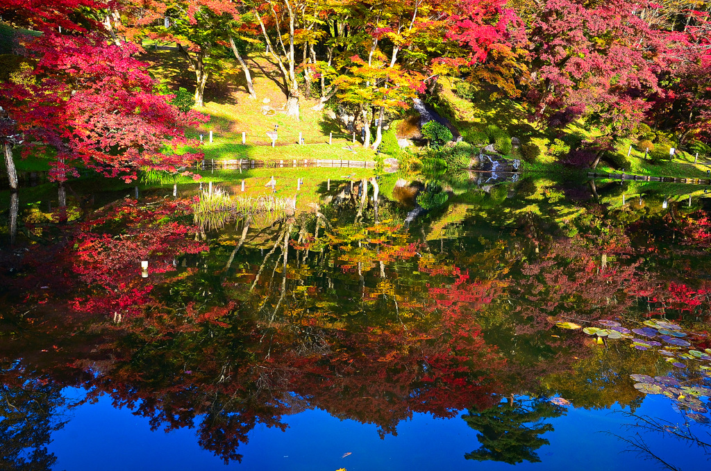霞ヶ城公園③