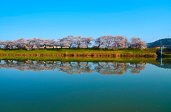 一目千本桜2015②