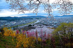 一目千本桜2018②