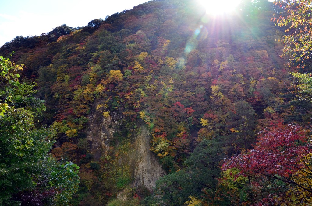 朝日と紅葉のコラボ2