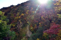 朝日と紅葉のコラボ2