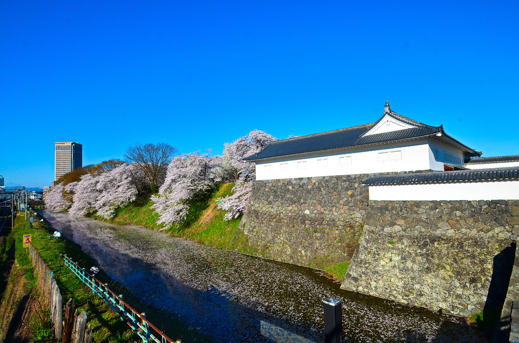 霞城公園①