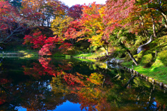 霞ヶ城公園④