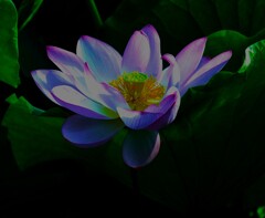 伊賀①