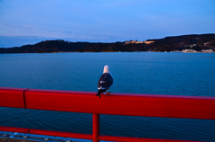 何を想う　松島