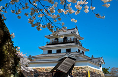 白石城2015②