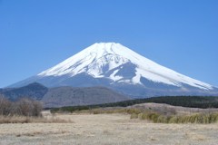 春の富士山