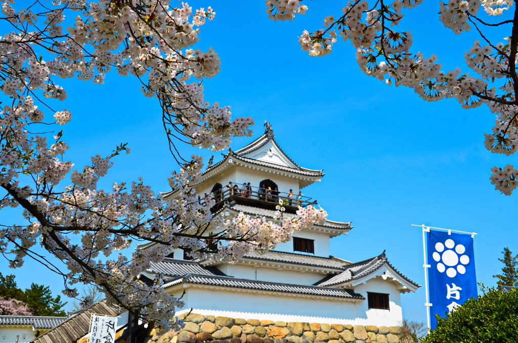 白石城2015④