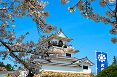 白石城2015④