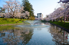 最上公園②