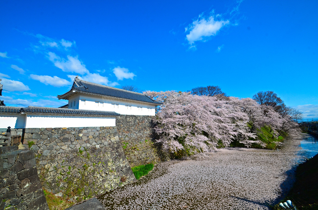 霞城公園②