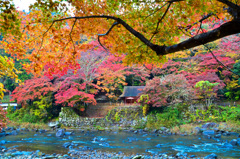足助香嵐渓