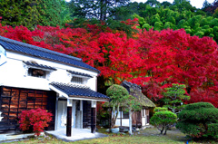 香嵐渓2016②
