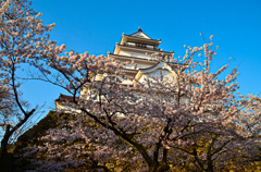 鶴ヶ城2015②