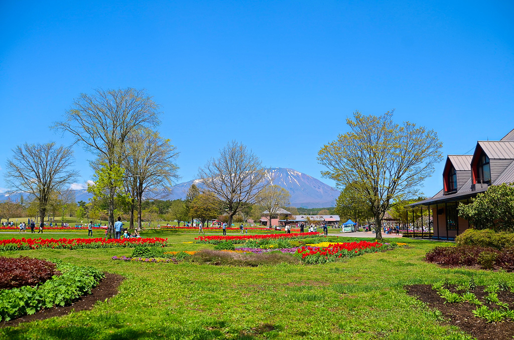 小岩井農場