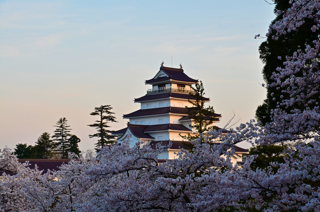 鶴ヶ城2015①