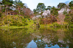 霞ヶ城公園②