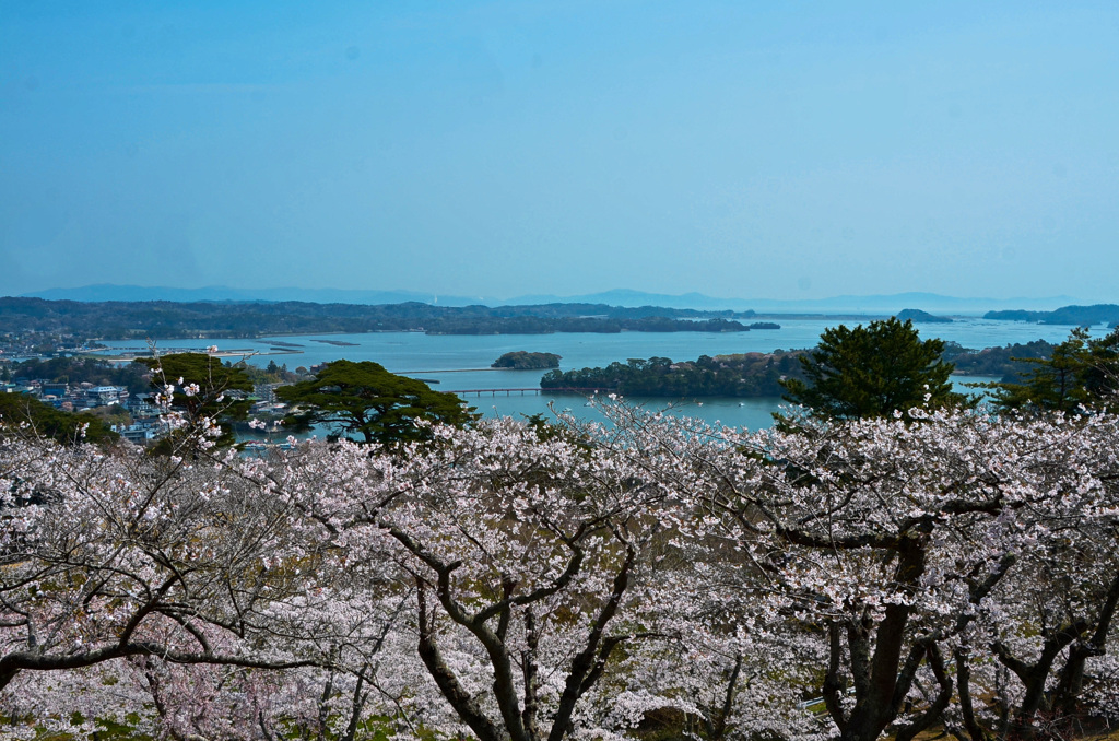 松島2024