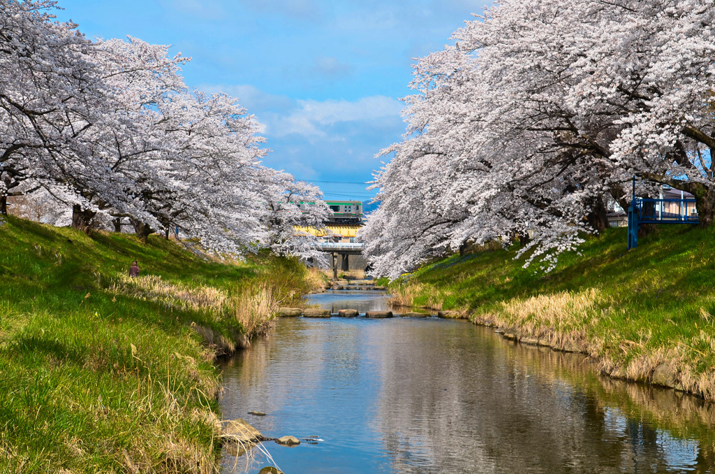 藤田川⑤